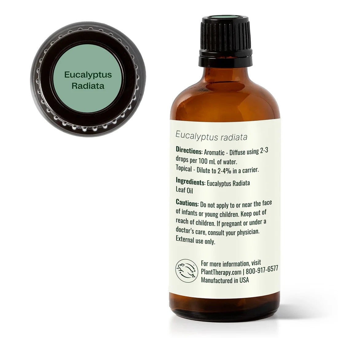 Eucalyptus Radiata Essential Oil - 3rd Day Creation