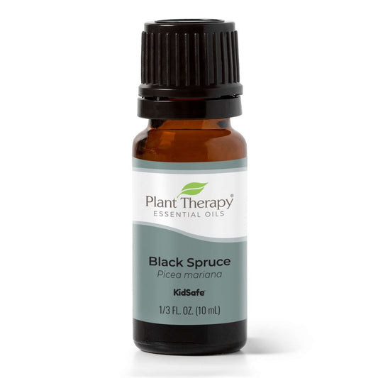 Black Spruce Essential Oil