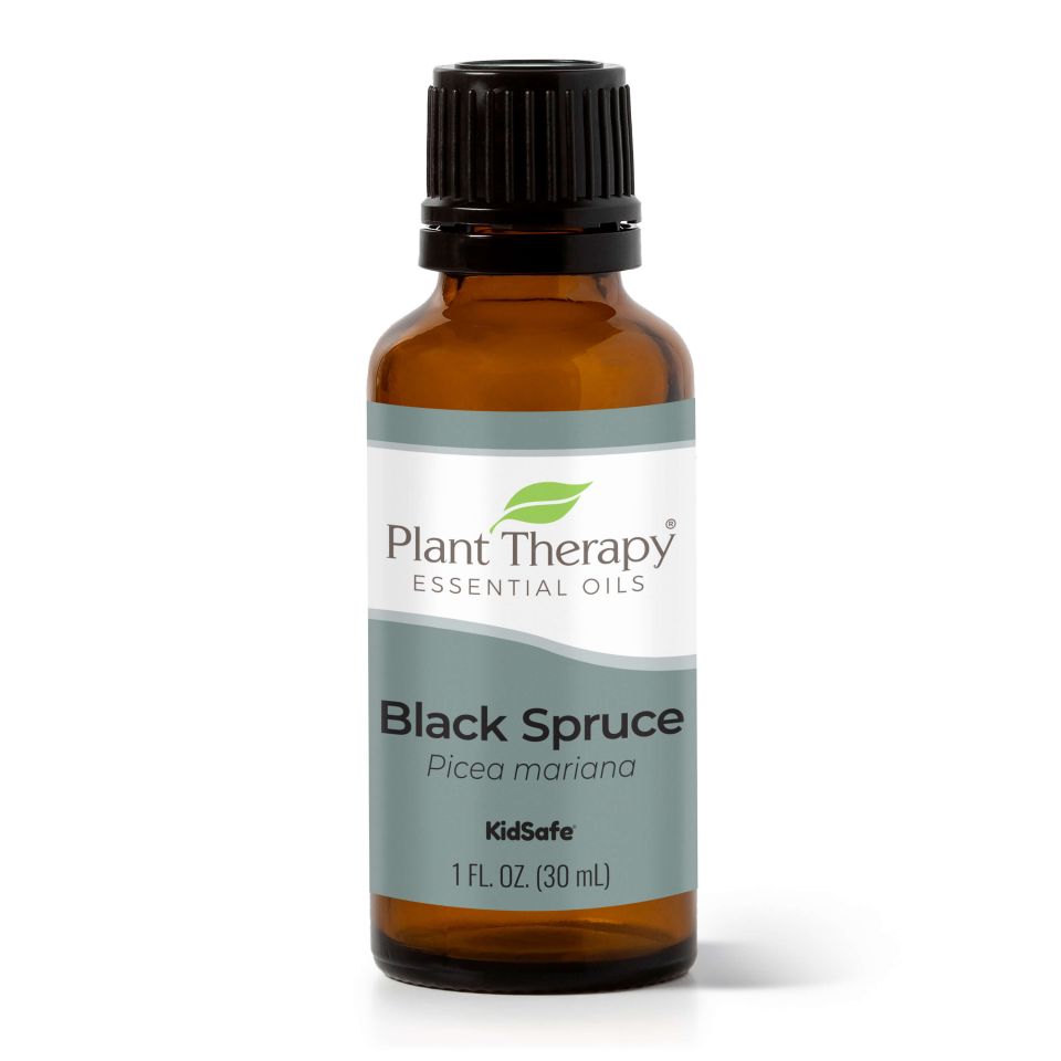 Black Spruce Essential Oil