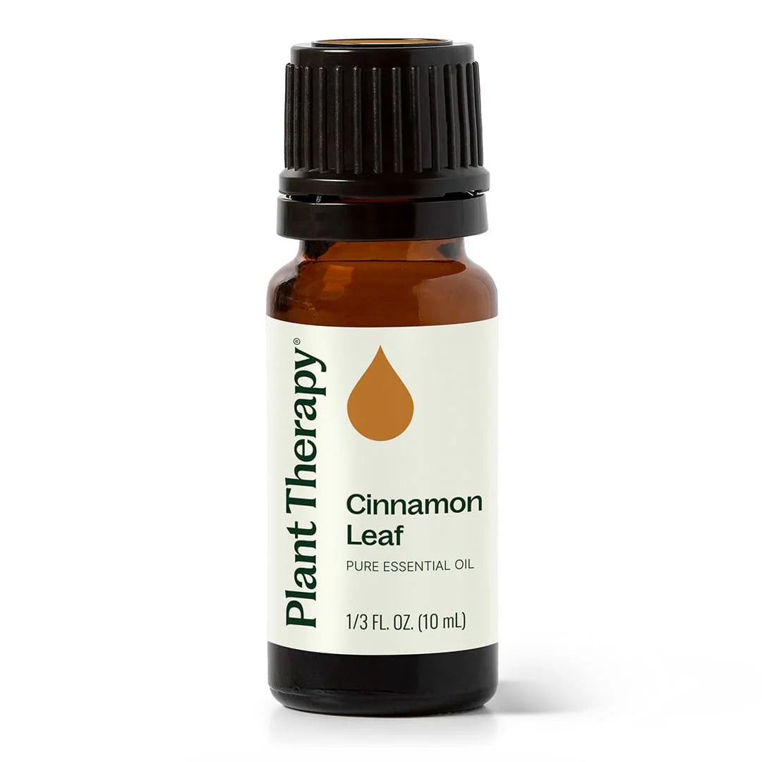 Cinnamon Leaf Essential Oil