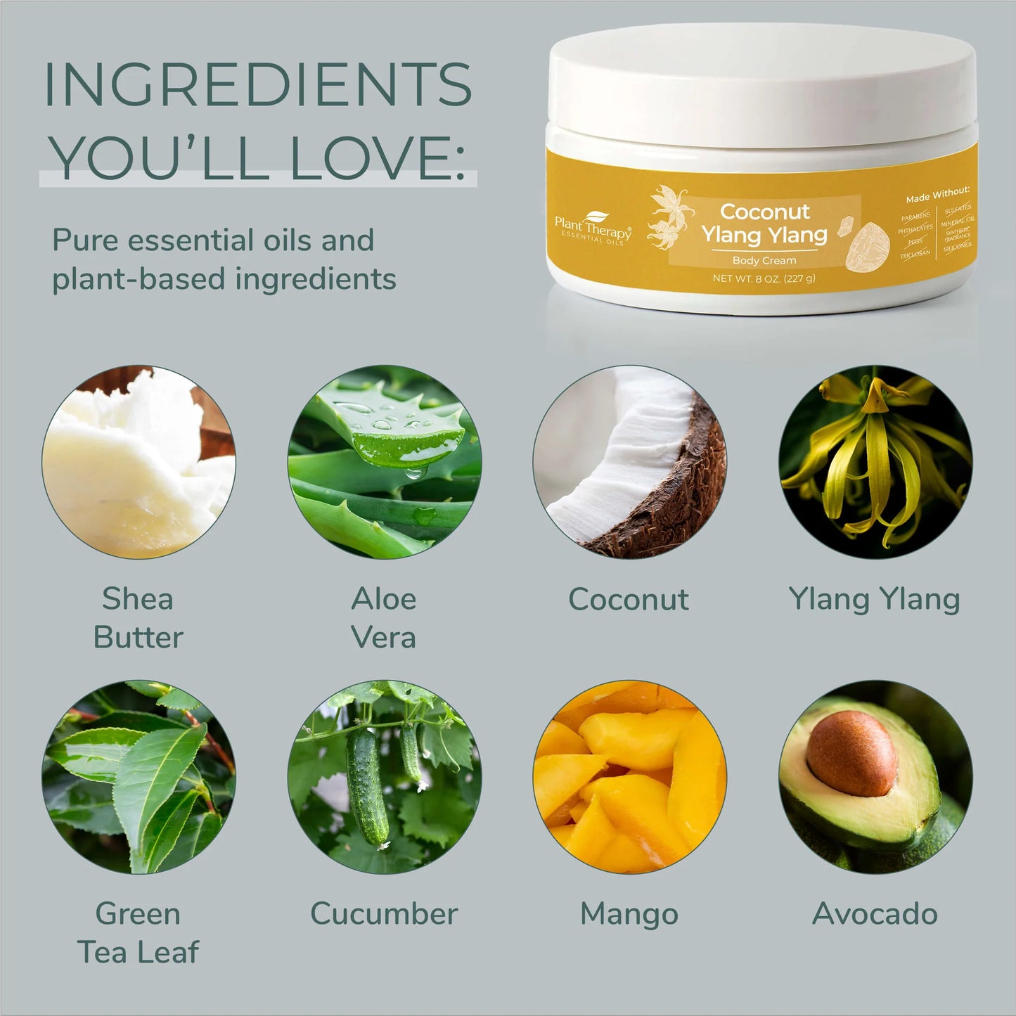 Coconut Ylang Ylang Body Cream