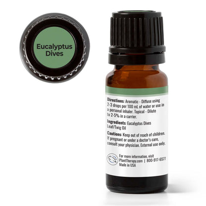 Eucalyptus Dives Essential Oil - 3rd Day Creation