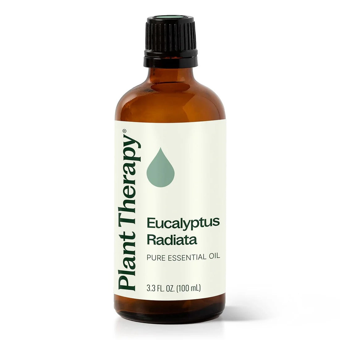 Eucalyptus Radiata Essential Oil - 3rd Day Creation