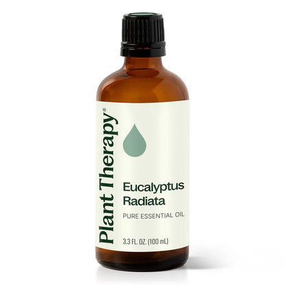 Eucalyptus Radiata Essential Oil - 3rd Day Creation