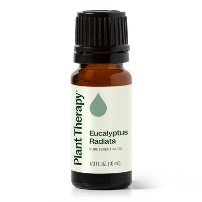 Eucalyptus Radiata Essential Oil - 3rd Day Creation