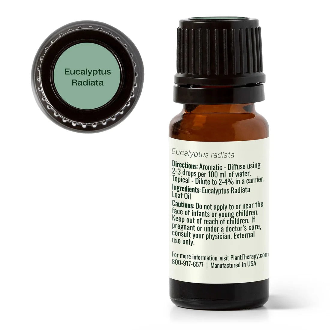 Eucalyptus Radiata Essential Oil - 3rd Day Creation