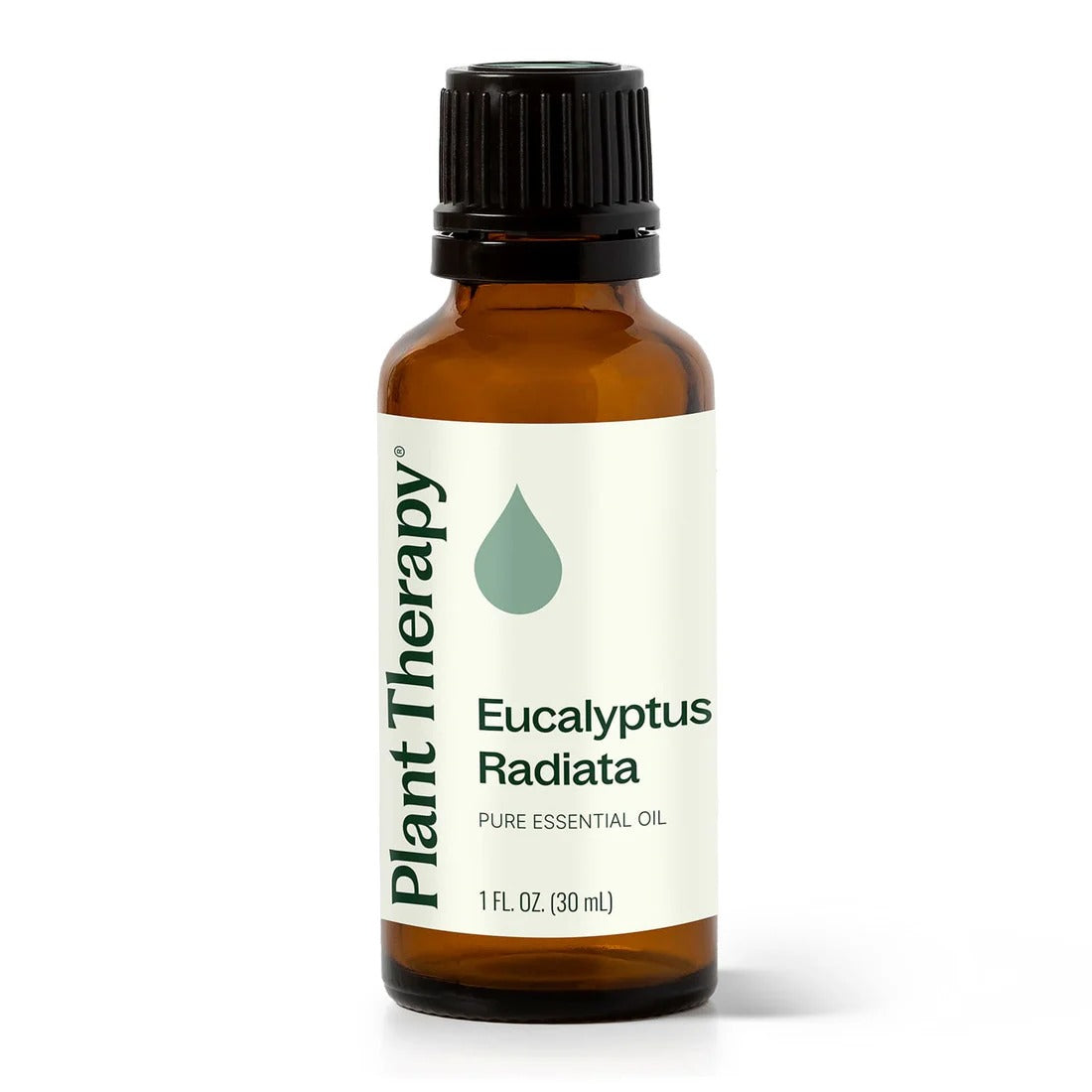 Eucalyptus Radiata Essential Oil - 3rd Day Creation