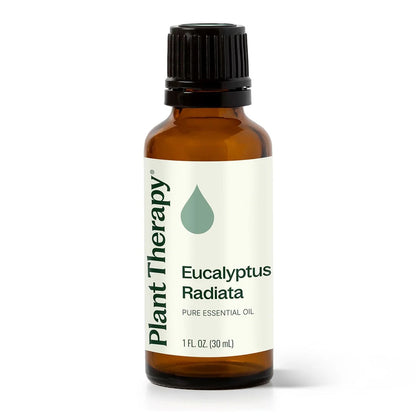 Eucalyptus Radiata Essential Oil - 3rd Day Creation