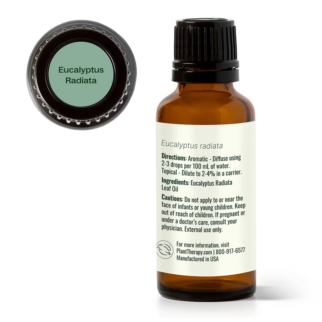 Eucalyptus Radiata Essential Oil - 3rd Day Creation
