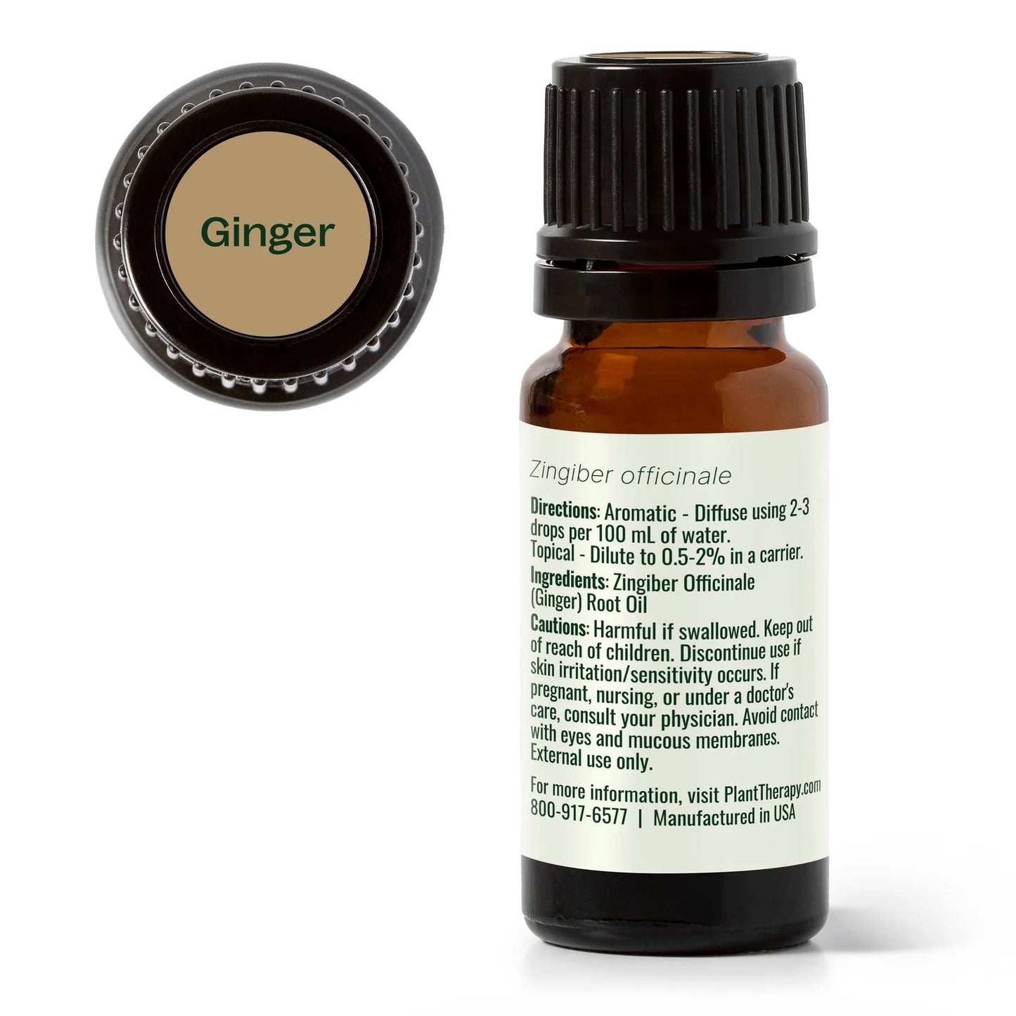 Ginger Essential Oil