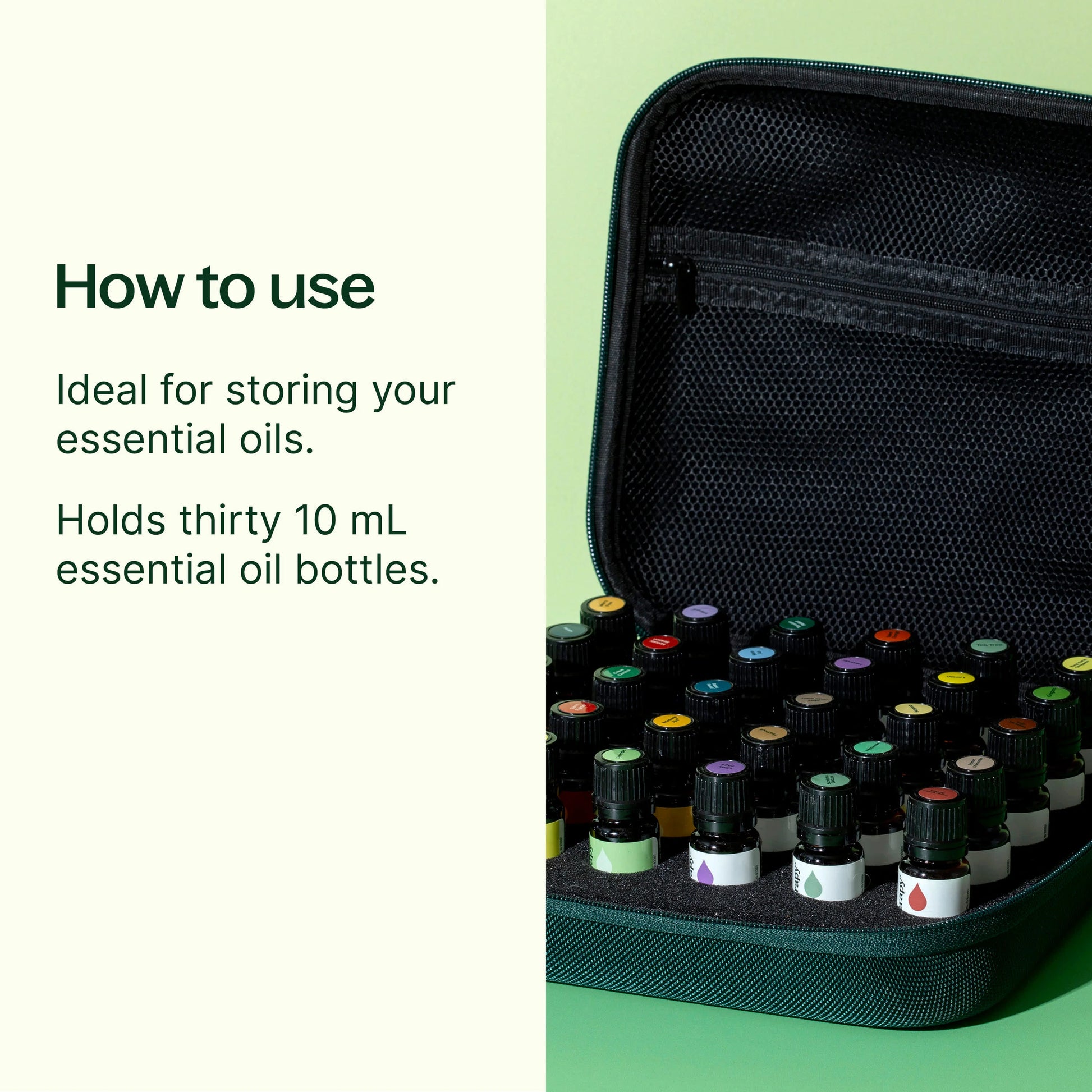 Hard-Top Carrying Case Large Dark Green (30 Count) - 3rd Day Creation