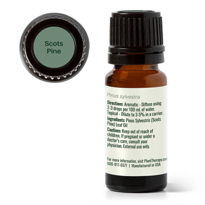Scots Pine Essential Oil