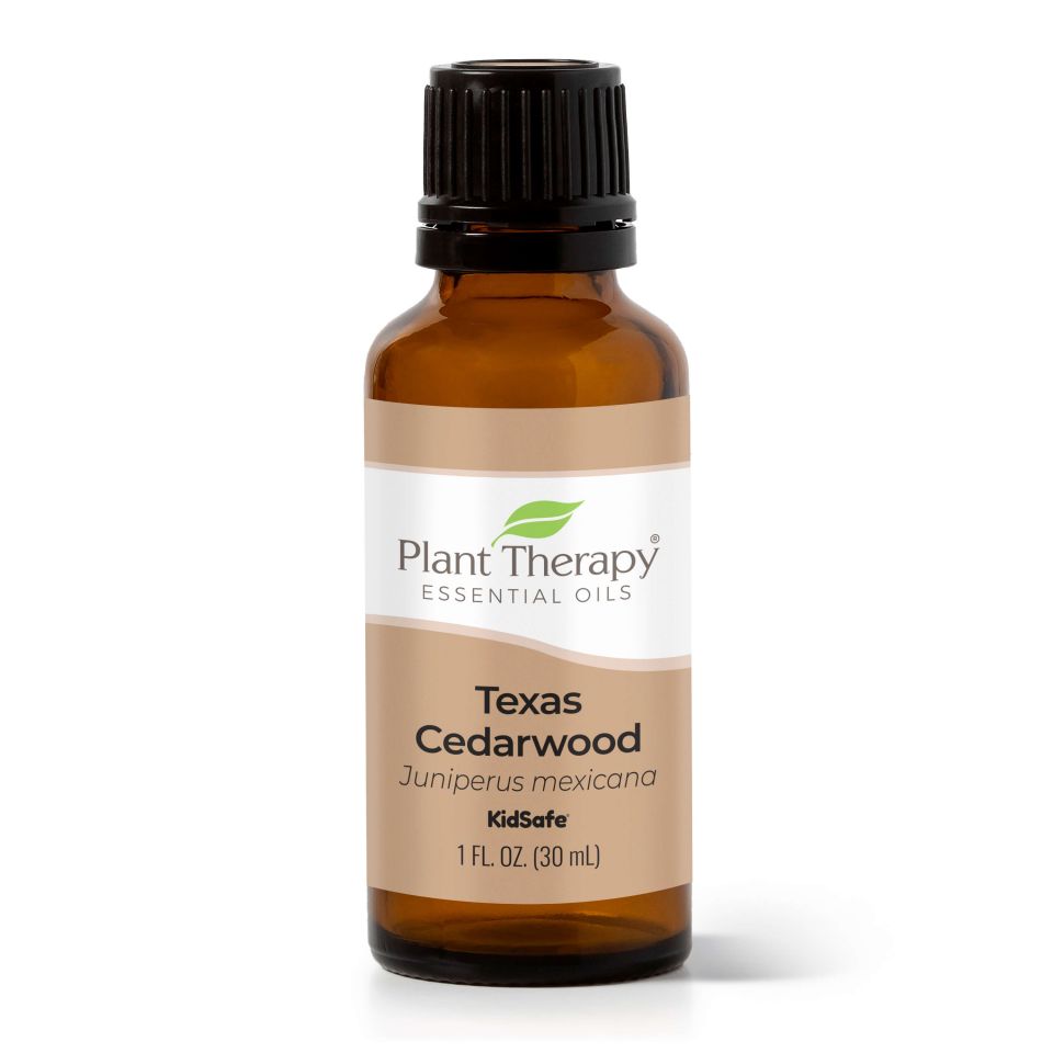 Cedarwood Texas Essential Oil - 3rd Day Creation