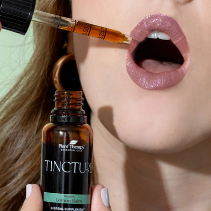 Tinctures Beginner Set