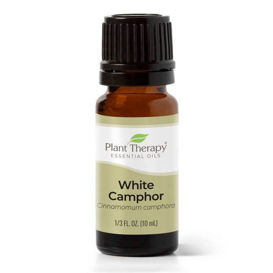 Camphor White Essential Oil - 3rd Day Creation