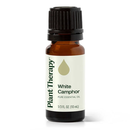 Camphor White Essential Oil