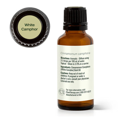 Camphor White Essential Oil
