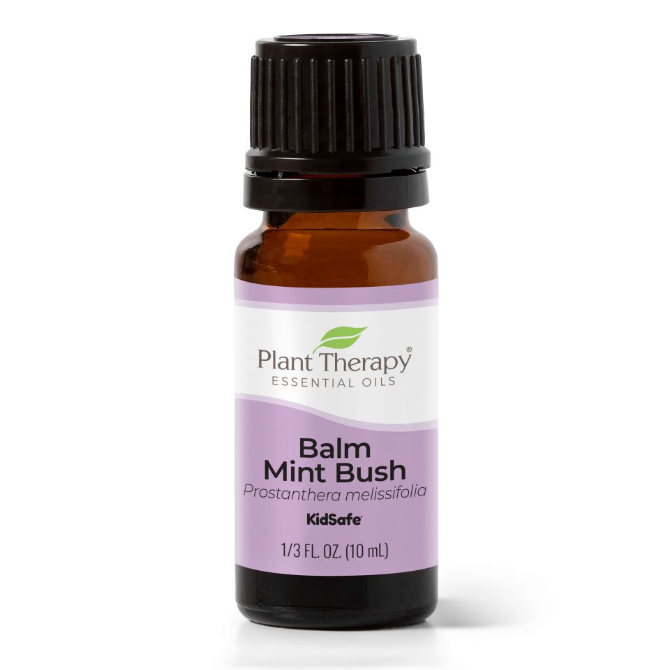 Balm Mint Bush Essential Oil - 3rd Day Creation