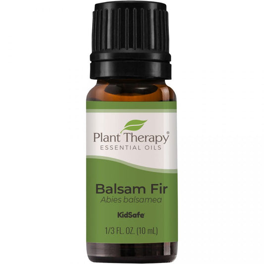 Balsam Fir Essential Oil - 3rd Day Creation