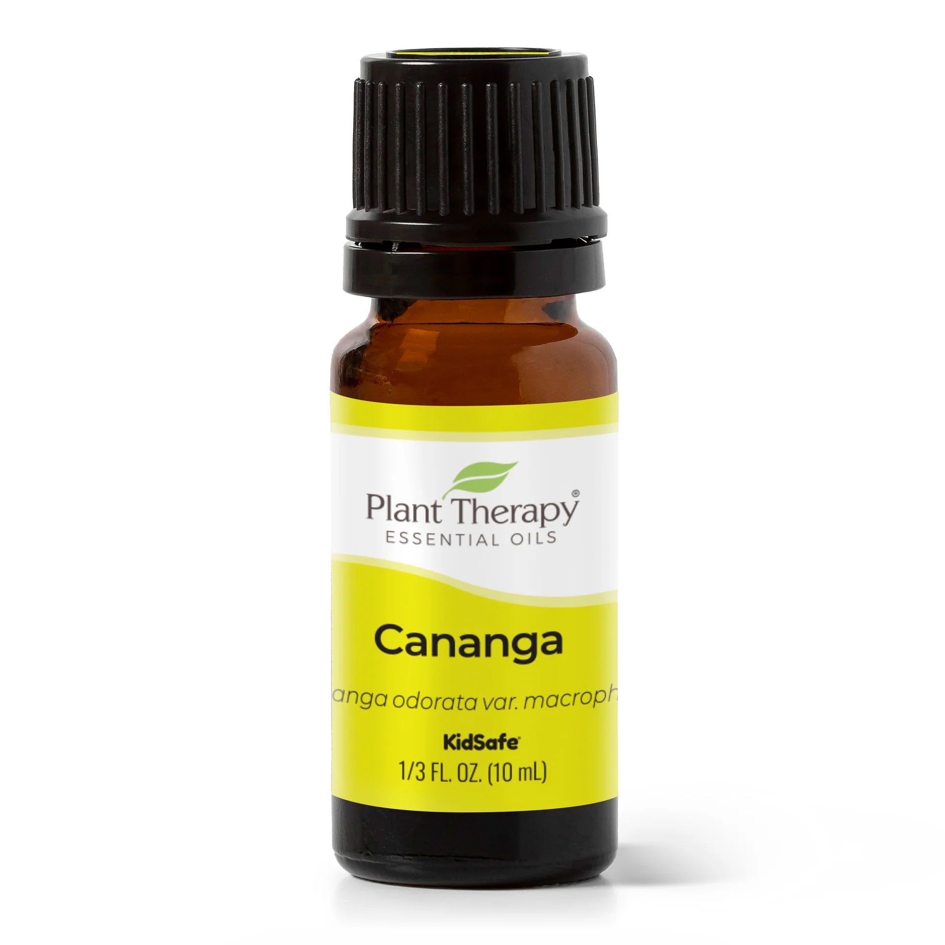 Cananga Essential Oil - 3rd Day Creation