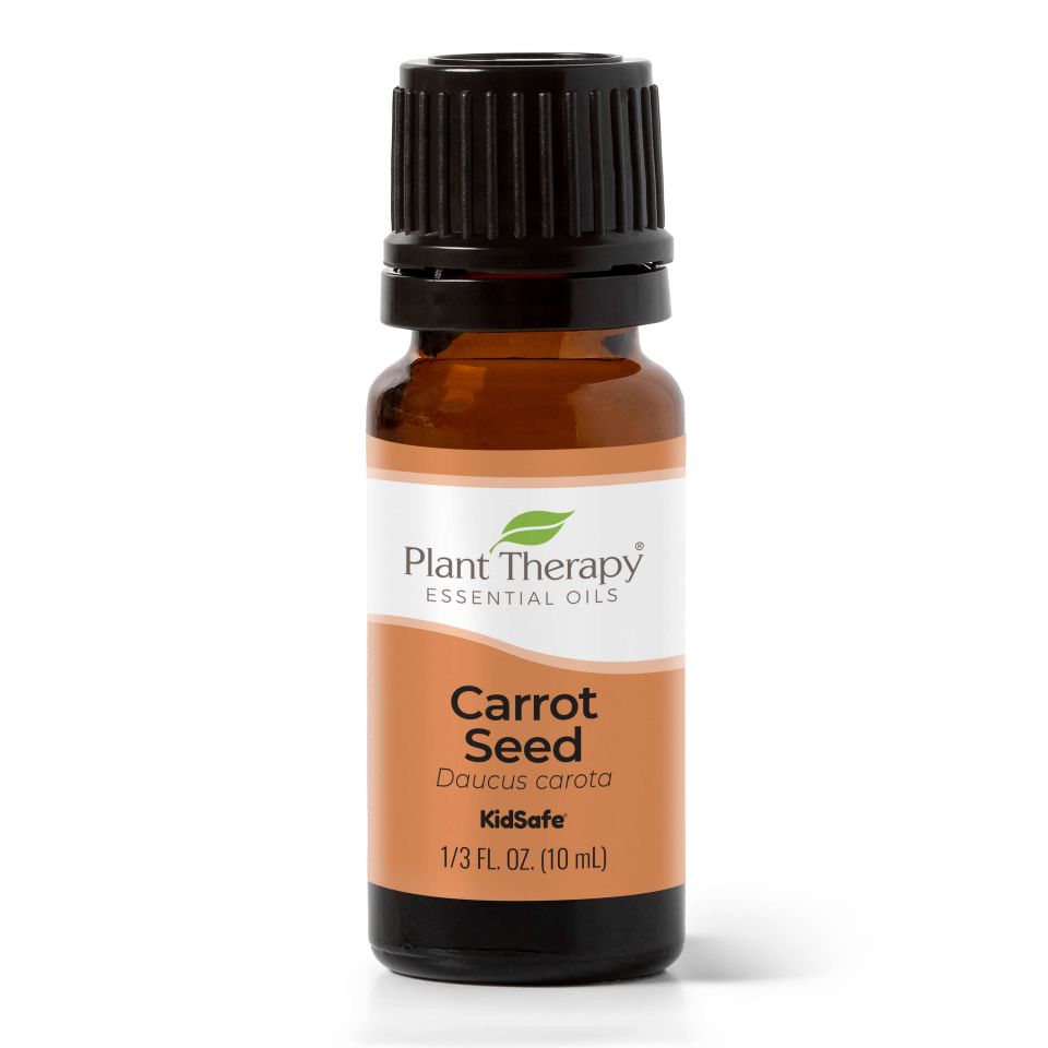 Carrot Seed Essential Oil - 3rd Day Creation