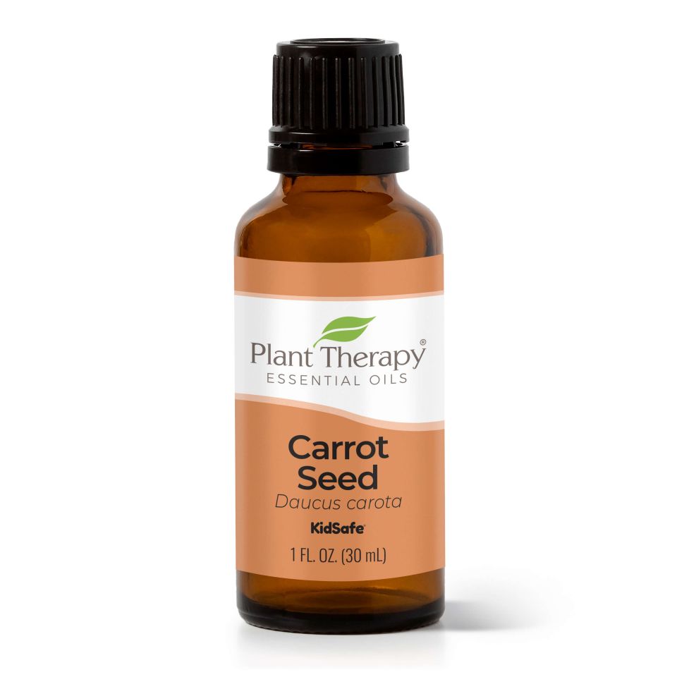 Carrot Seed Essential Oil - 3rd Day Creation