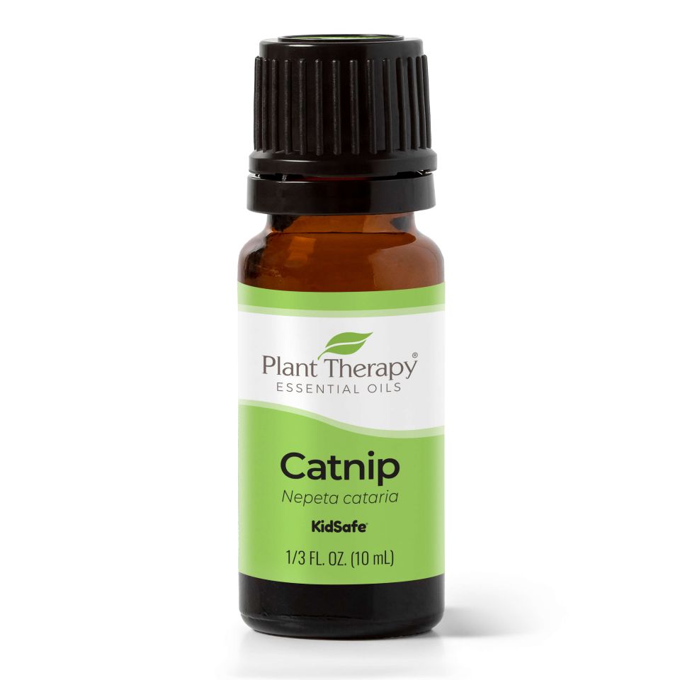 Catnip Essential Oil - 3rd Day Creation