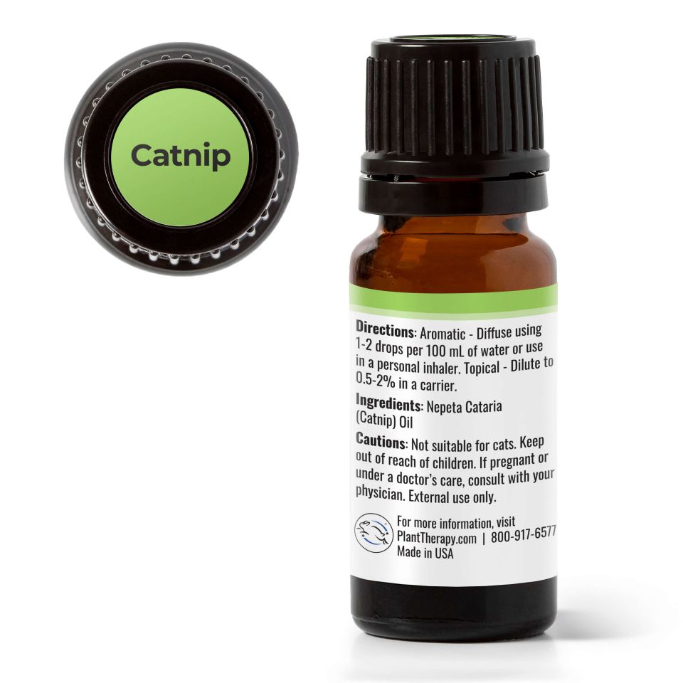 Catnip Essential Oil - 3rd Day Creation