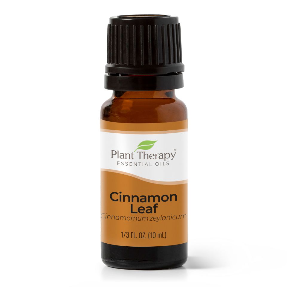 Cinnamon Leaf Essential Oil - 3rd Day Creation