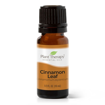 Cinnamon Leaf Essential Oil - 3rd Day Creation