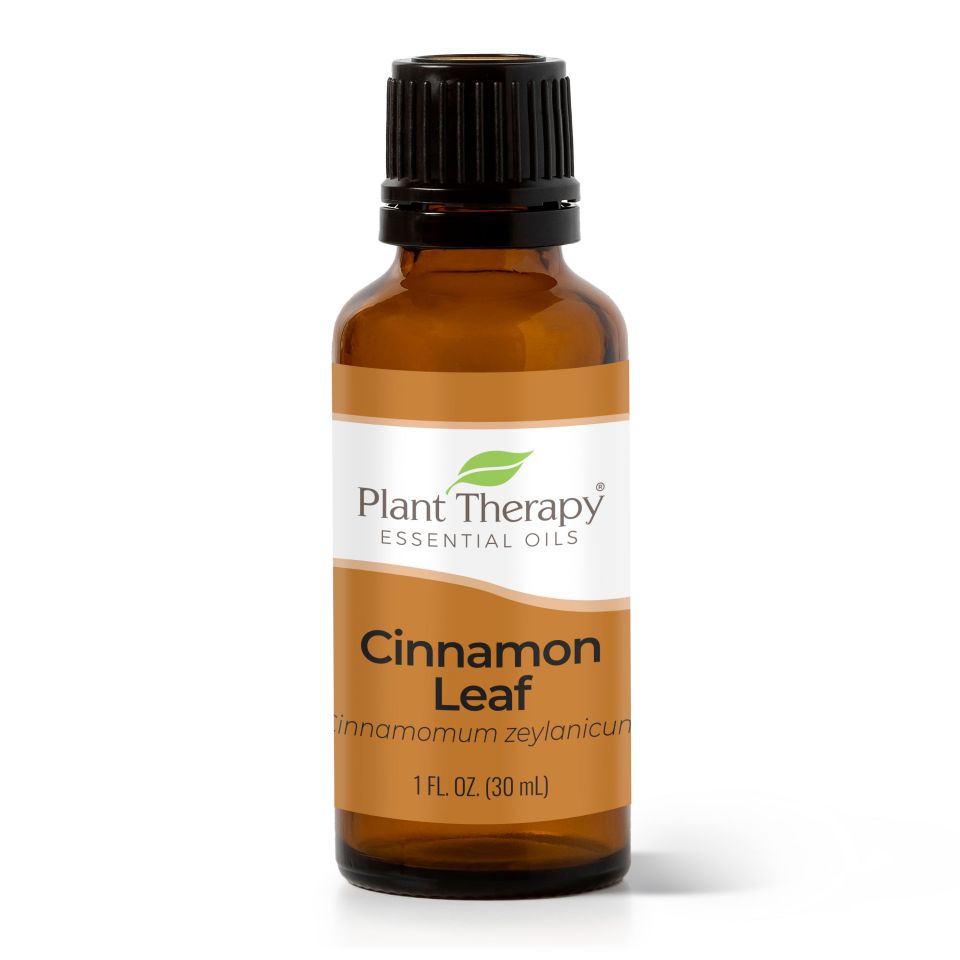 Cinnamon Leaf Essential Oil - 3rd Day Creation