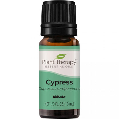 Cypress Essential Oil - 3rd Day Creation