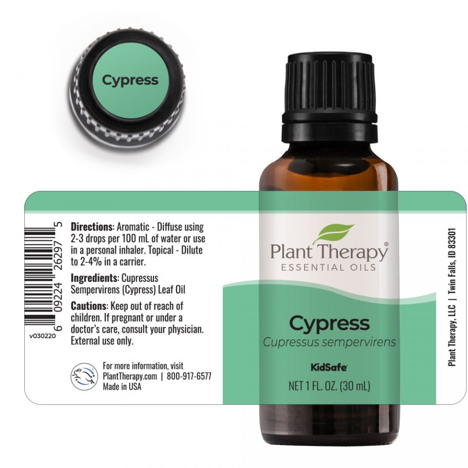 Cypress Essential Oil - 3rd Day Creation