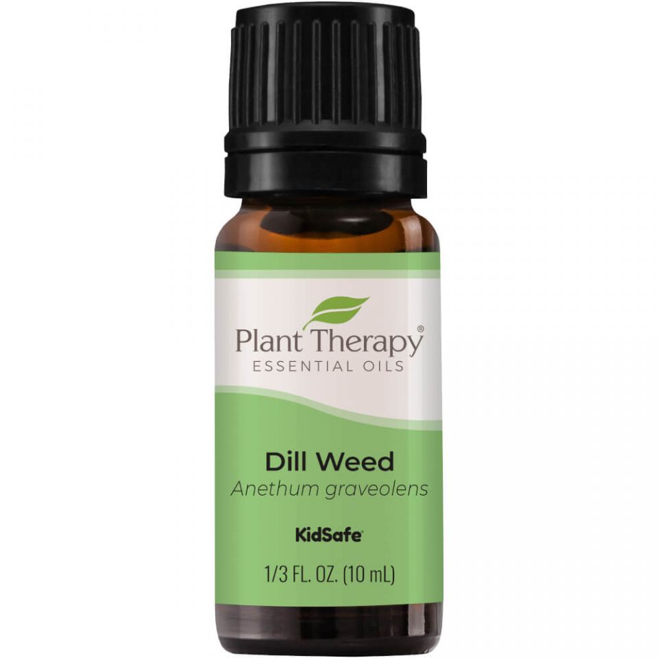 Dill Weed Essential Oil - 3rd Day Creation