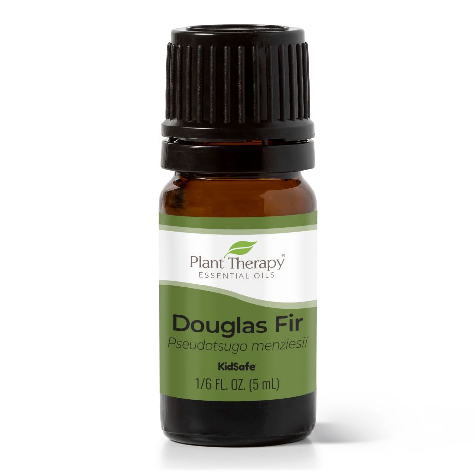 Douglas Fir Essential Oil - 3rd Day Creation