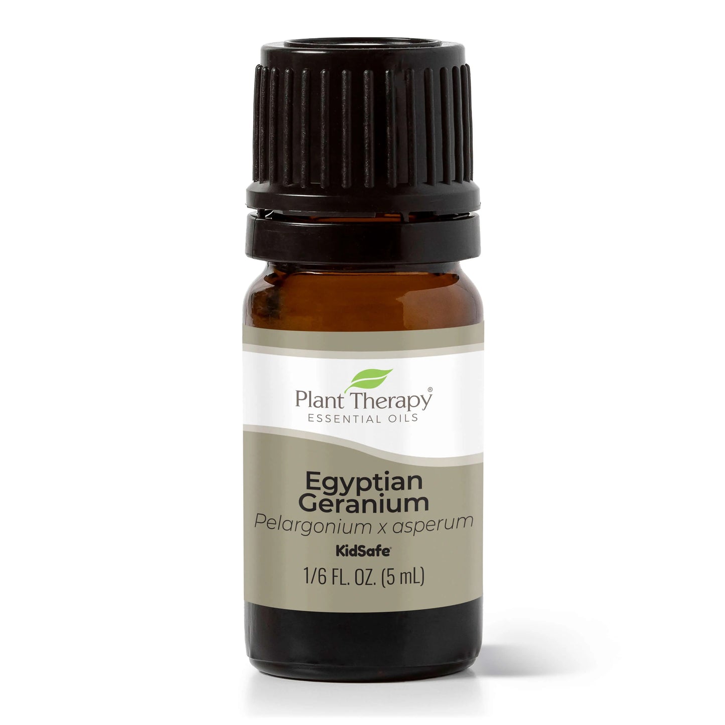 Geranium Egyptian Essential Oil