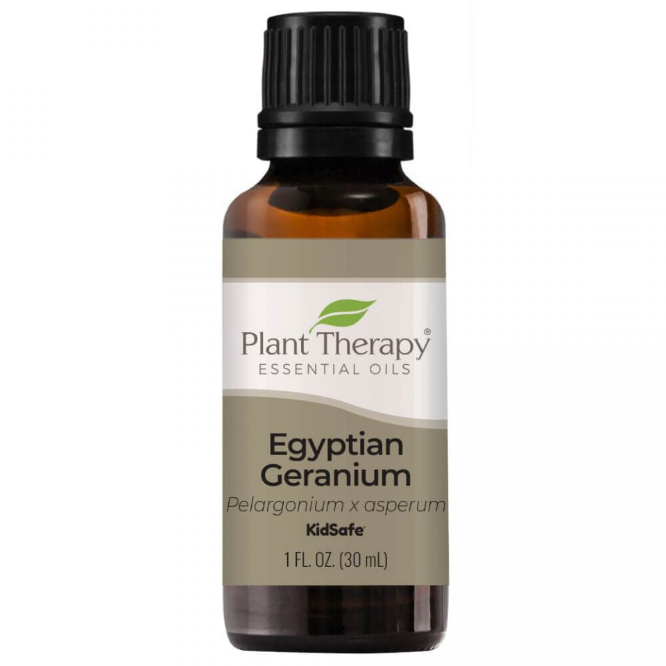 Geranium Egyptian Essential Oil - 3rd Day Creation