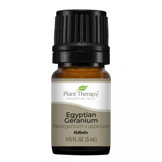 Geranium Egyptian Essential Oil - 3rd Day Creation