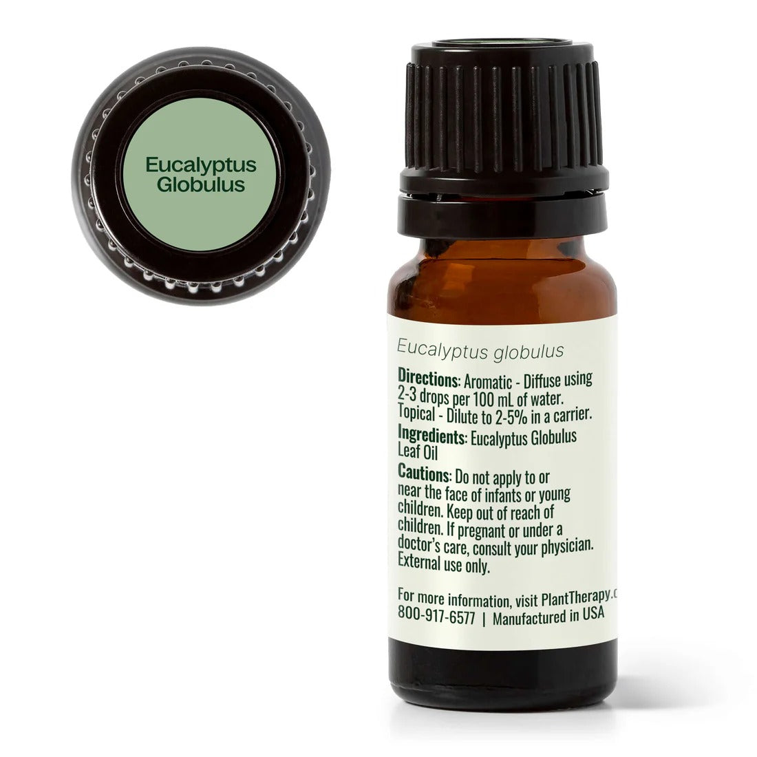 Eucalyptus Globulus Essential Oil - 3rd Day Creation