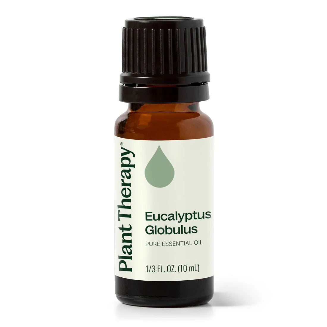 Eucalyptus Globulus Essential Oil - 3rd Day Creation