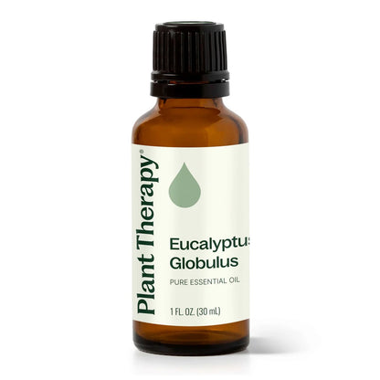 Eucalyptus Globulus Essential Oil - 3rd Day Creation