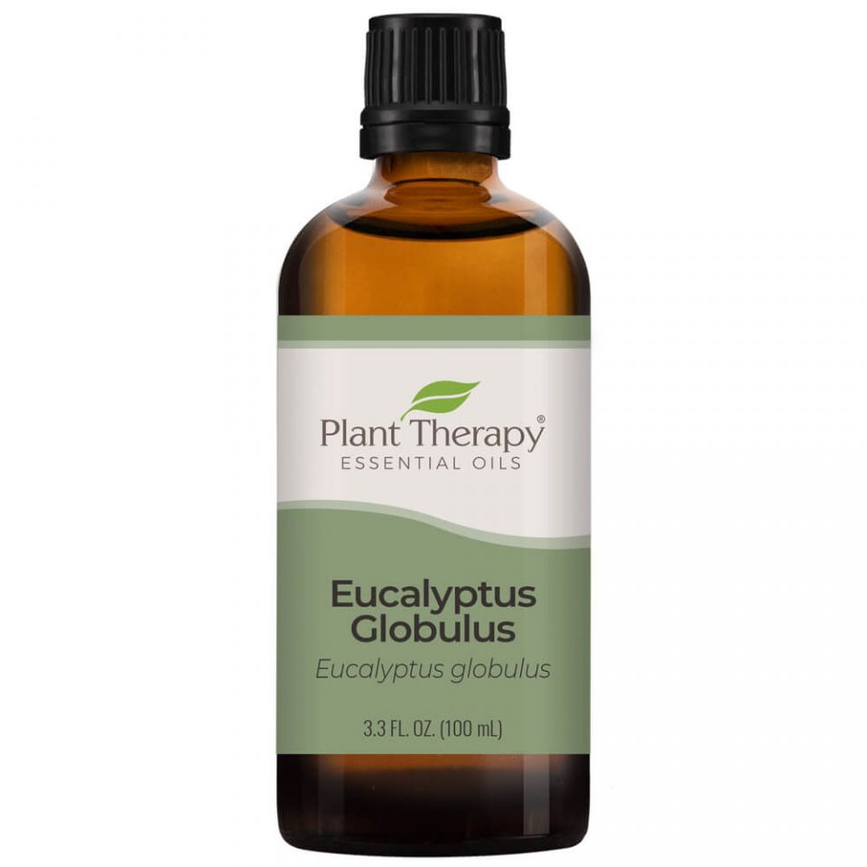 Eucalyptus Globulus Essential Oil - 3rd Day Creation