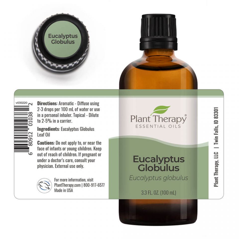 Eucalyptus Globulus Essential Oil - 3rd Day Creation