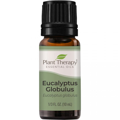 Eucalyptus Globulus Essential Oil - 3rd Day Creation