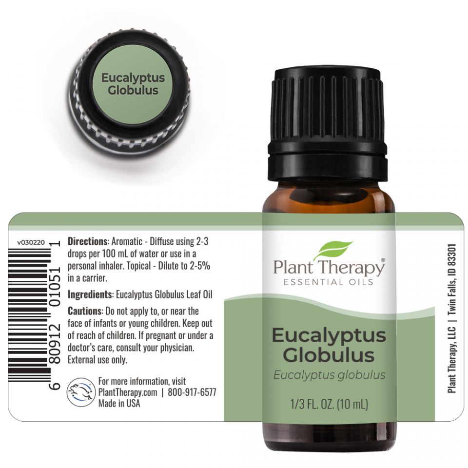 Eucalyptus Globulus Essential Oil - 3rd Day Creation