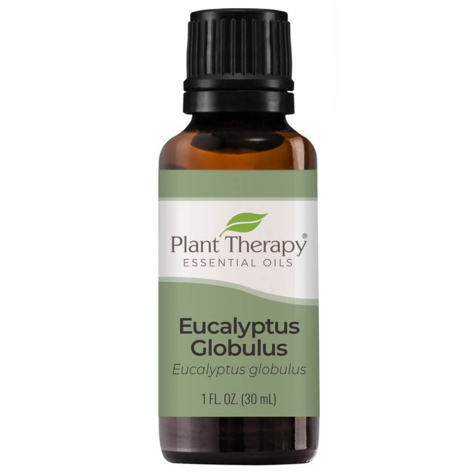 Eucalyptus Globulus Essential Oil - 3rd Day Creation