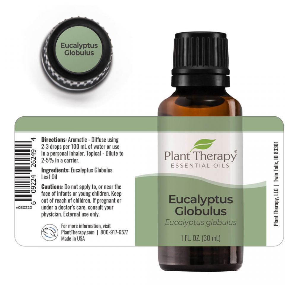 Eucalyptus Globulus Essential Oil - 3rd Day Creation