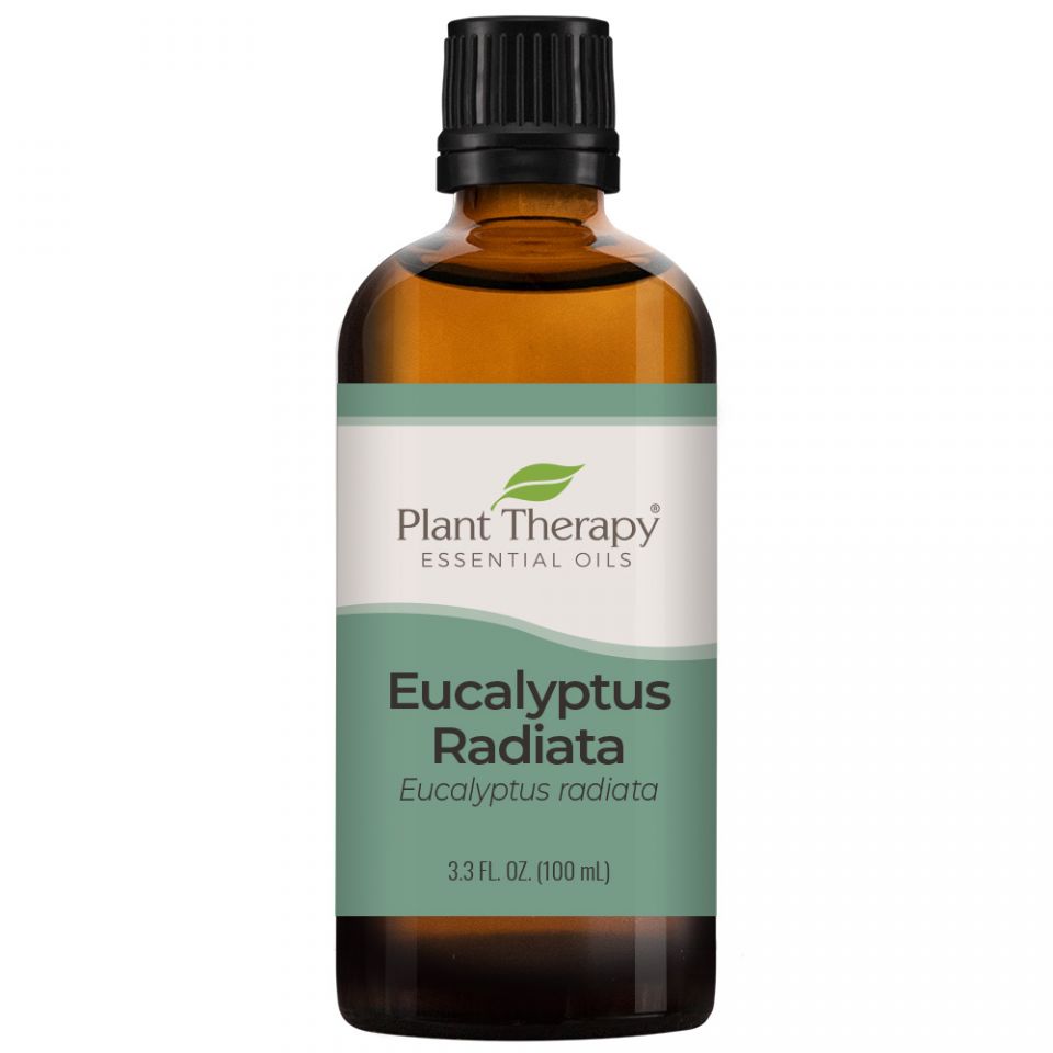 Eucalyptus Radiata Essential Oil - 3rd Day Creation