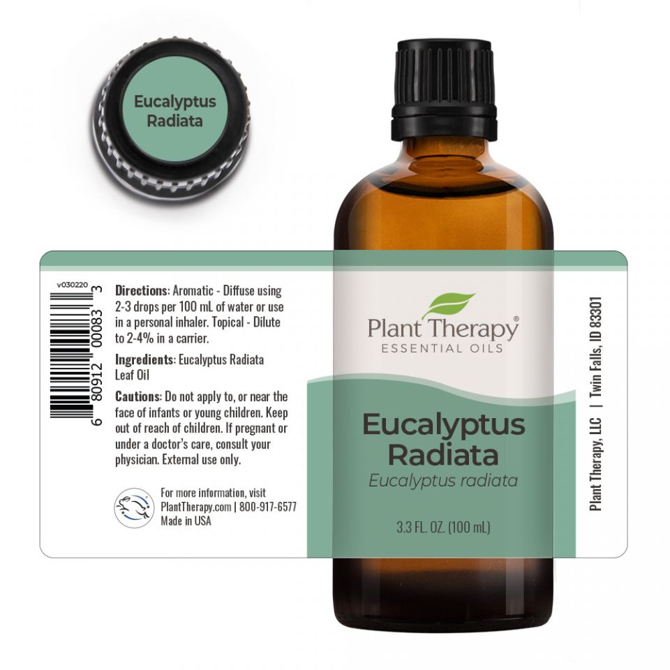 Eucalyptus Radiata Essential Oil - 3rd Day Creation