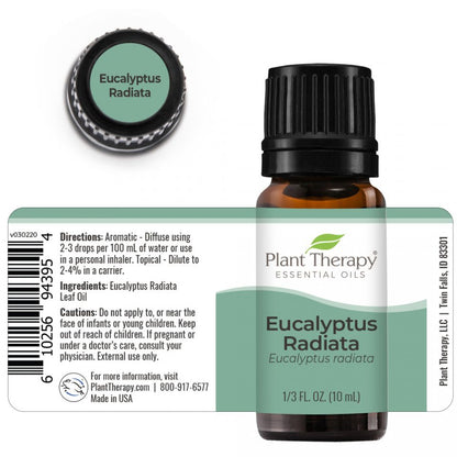 Eucalyptus Radiata Essential Oil - 3rd Day Creation